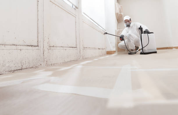 24/7 Emergency Mold Remediation experts in Jacksonville, IL